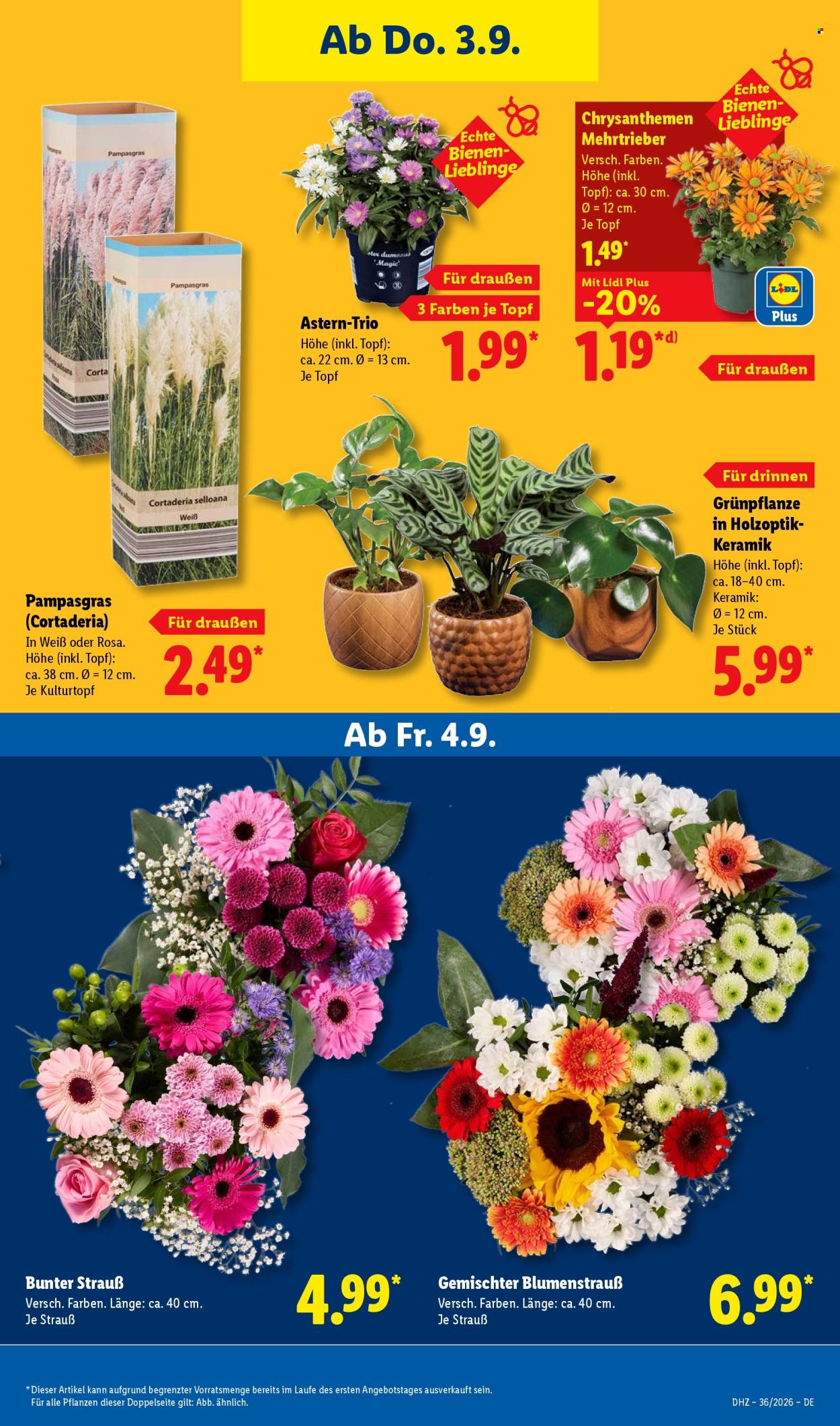 Lidl Prospekte  - 31.8.2026 - 5.9.2026. Seite 27