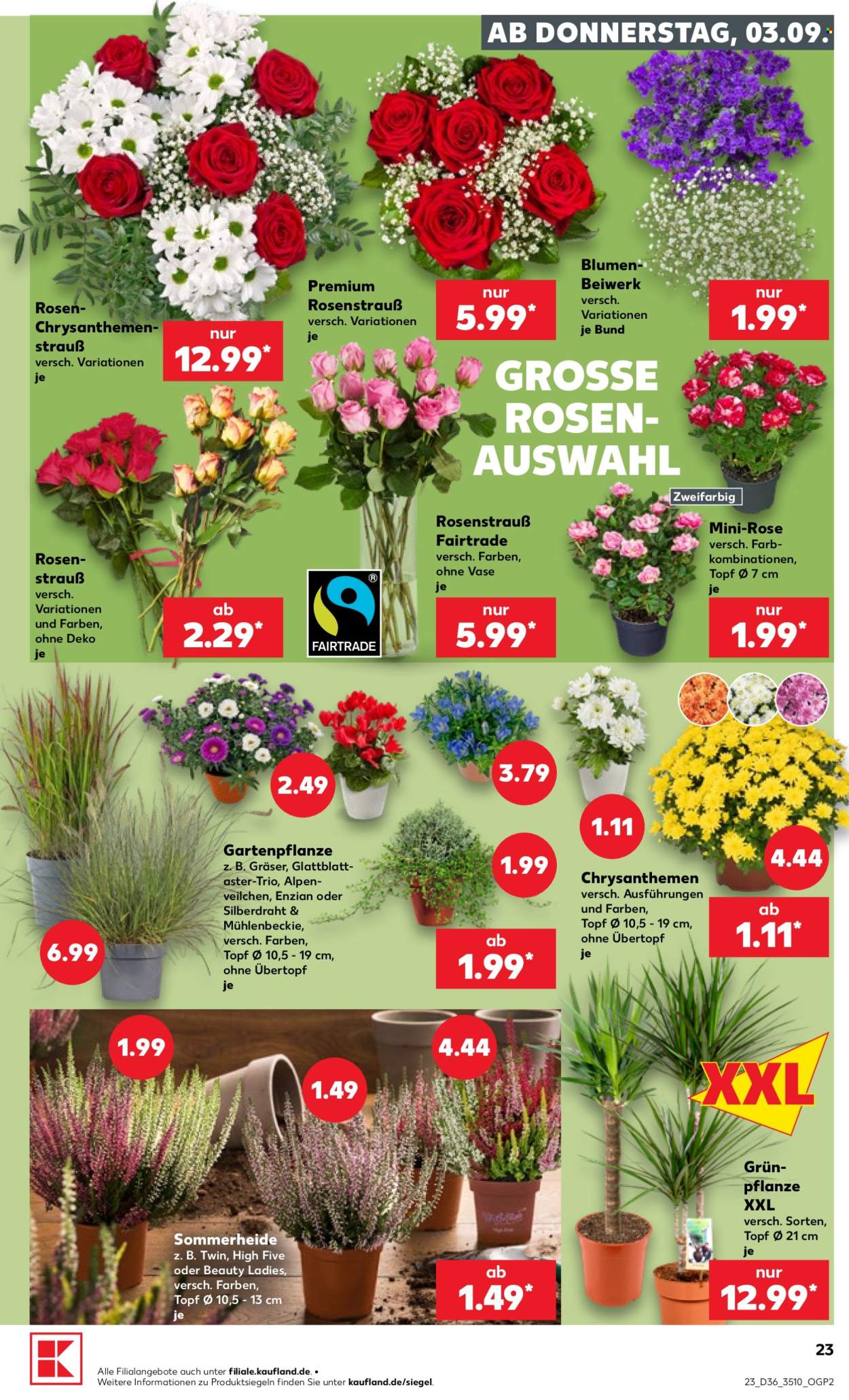 Kaufland Prospekte  - 3.9.2026 - 9.9.2026. Seite 23