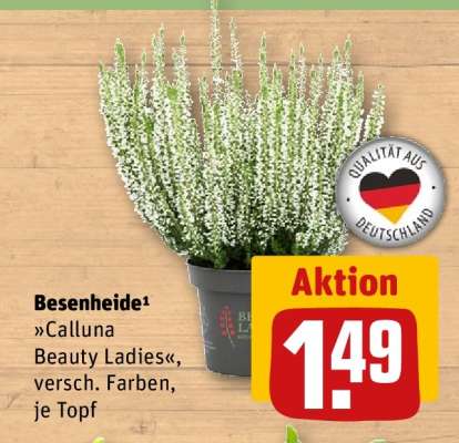 Besenheide