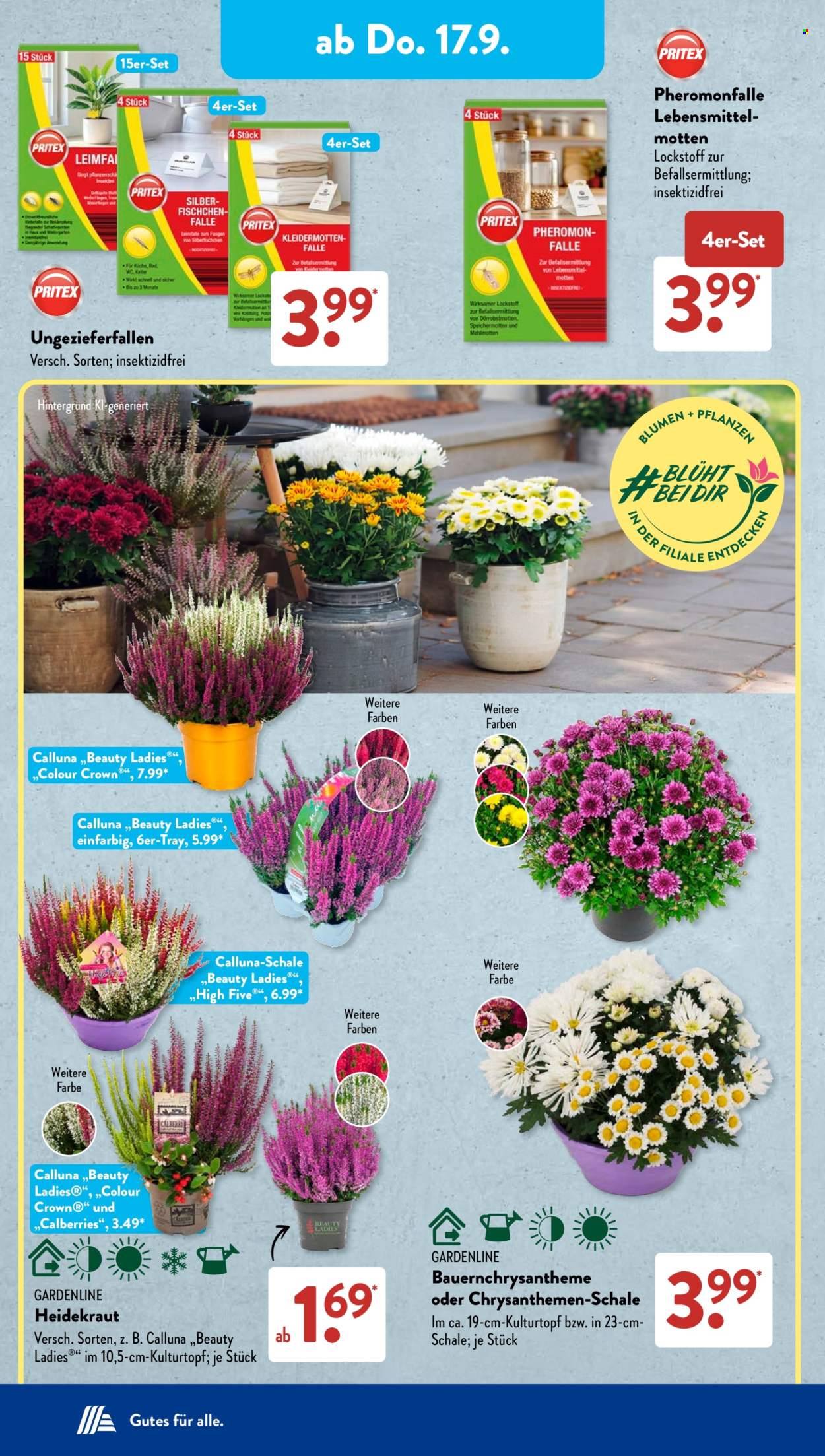 ALDI SÜD Prospekte  - 14.9.2026 - 19.9.2026. Seite 12