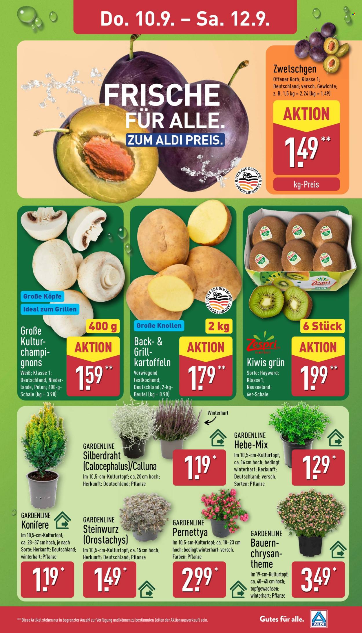 ALDI Nord Prospekte  - 7.9.2026 - 12.9.2026. Seite 27