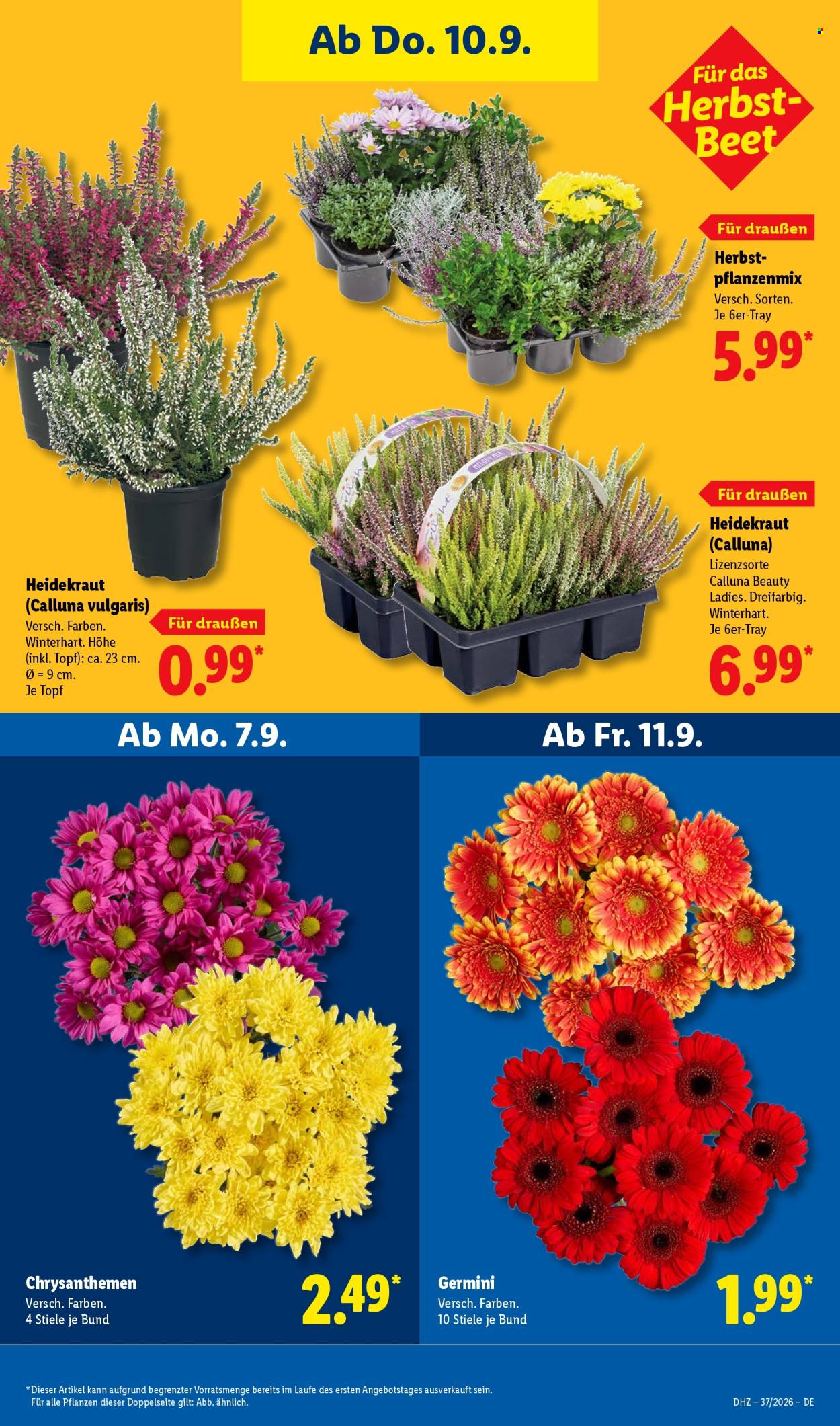 Lidl Prospekte  - 7.9.2026 - 12.9.2026. Seite 27