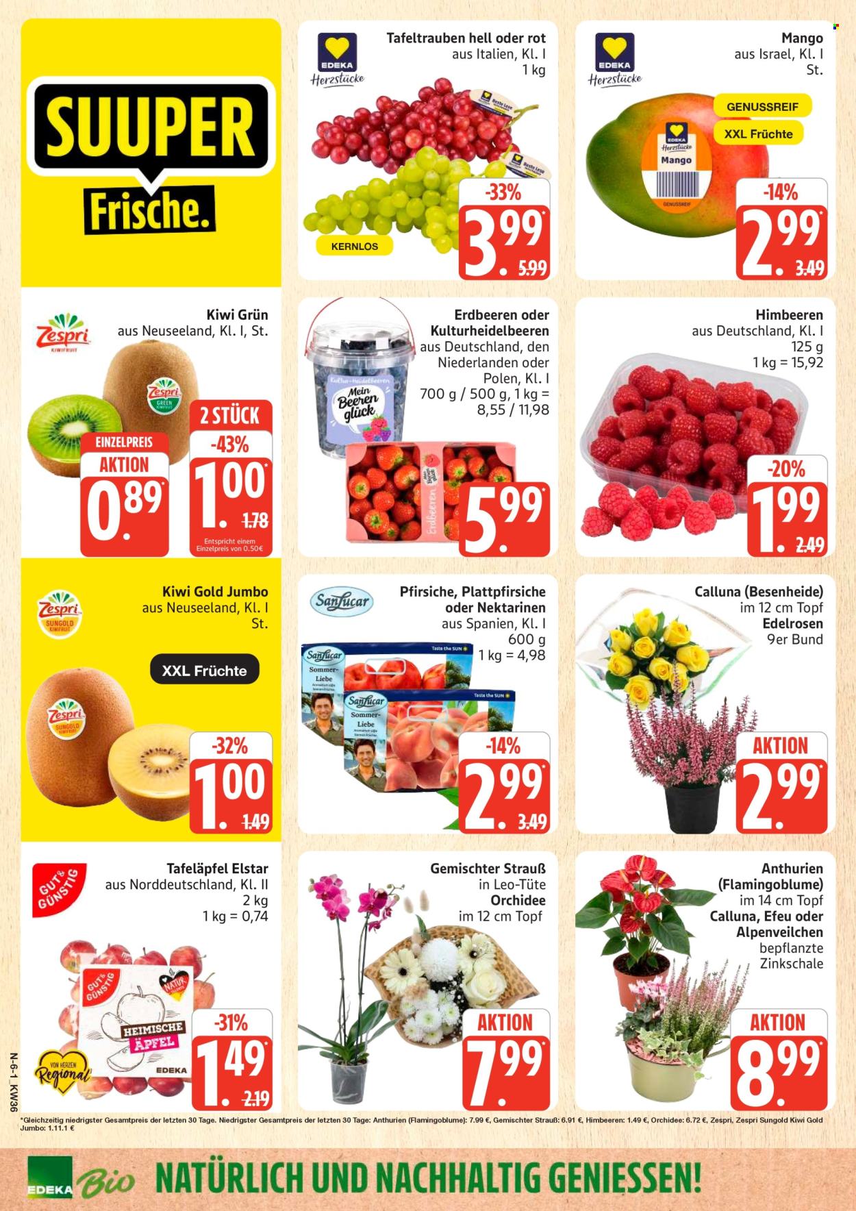 Marktkauf Prospekte  - 31.8.2026 - 5.9.2026. Seite 6