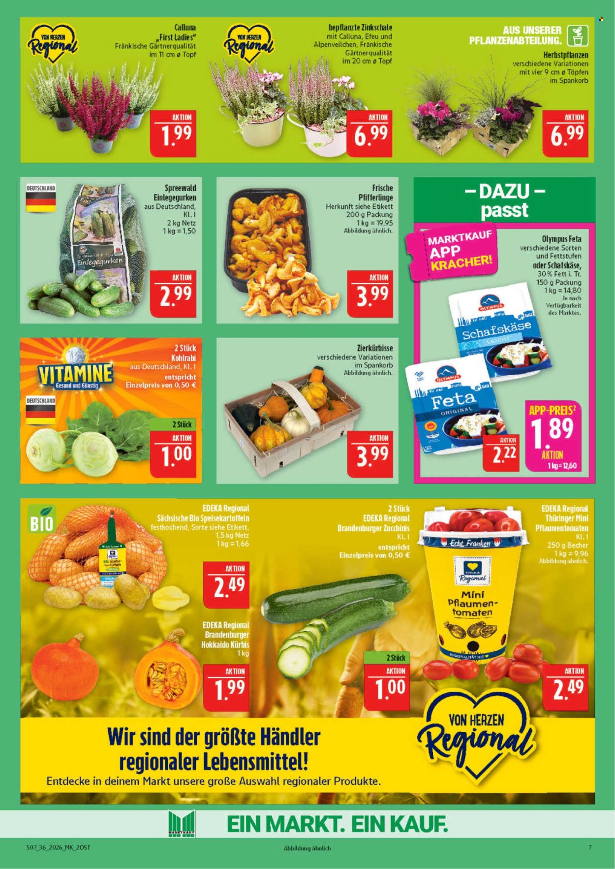 Marktkauf Prospekte  - 31.8.2026 - 5.9.2026. Seite 7