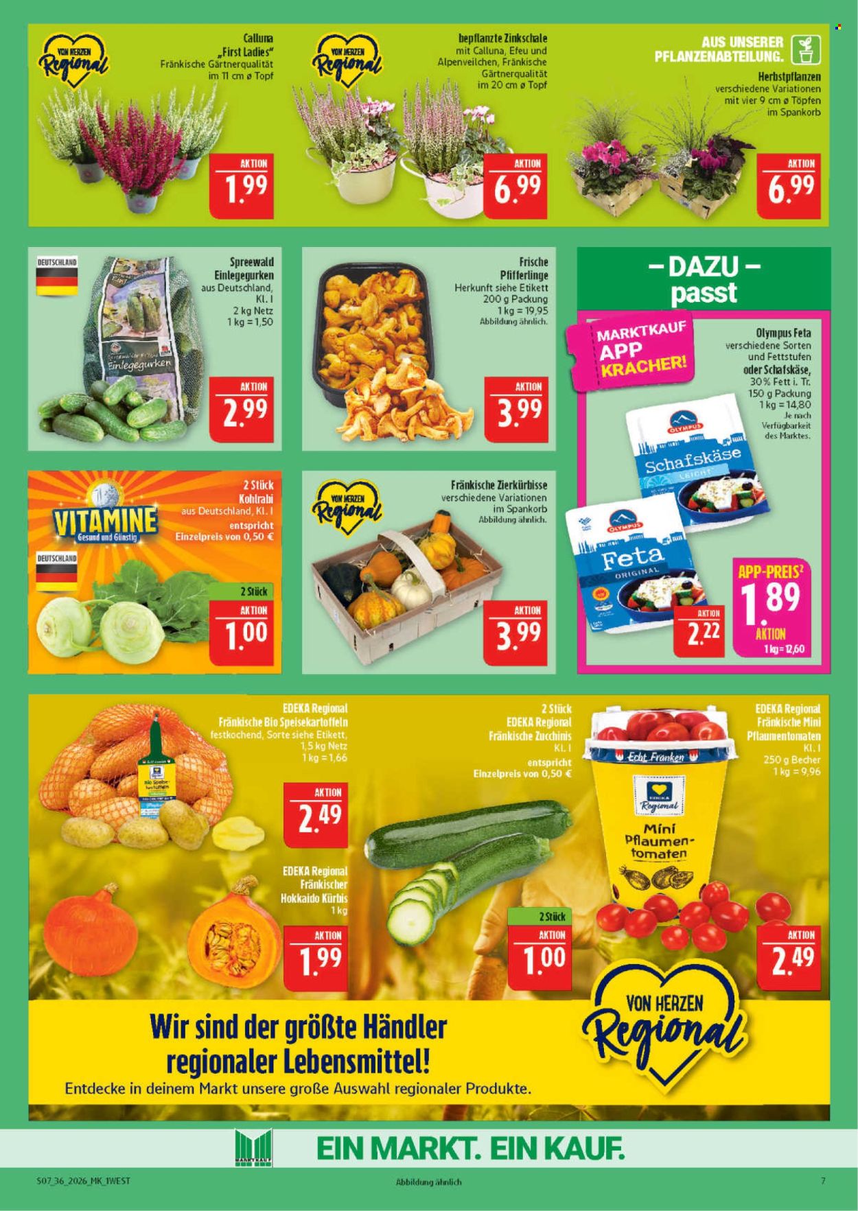 Marktkauf Prospekte  - 31.8.2026 - 5.9.2026. Seite 7