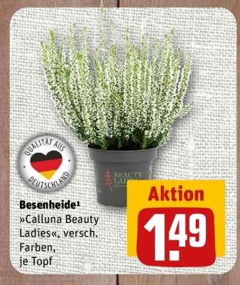 Besenheide