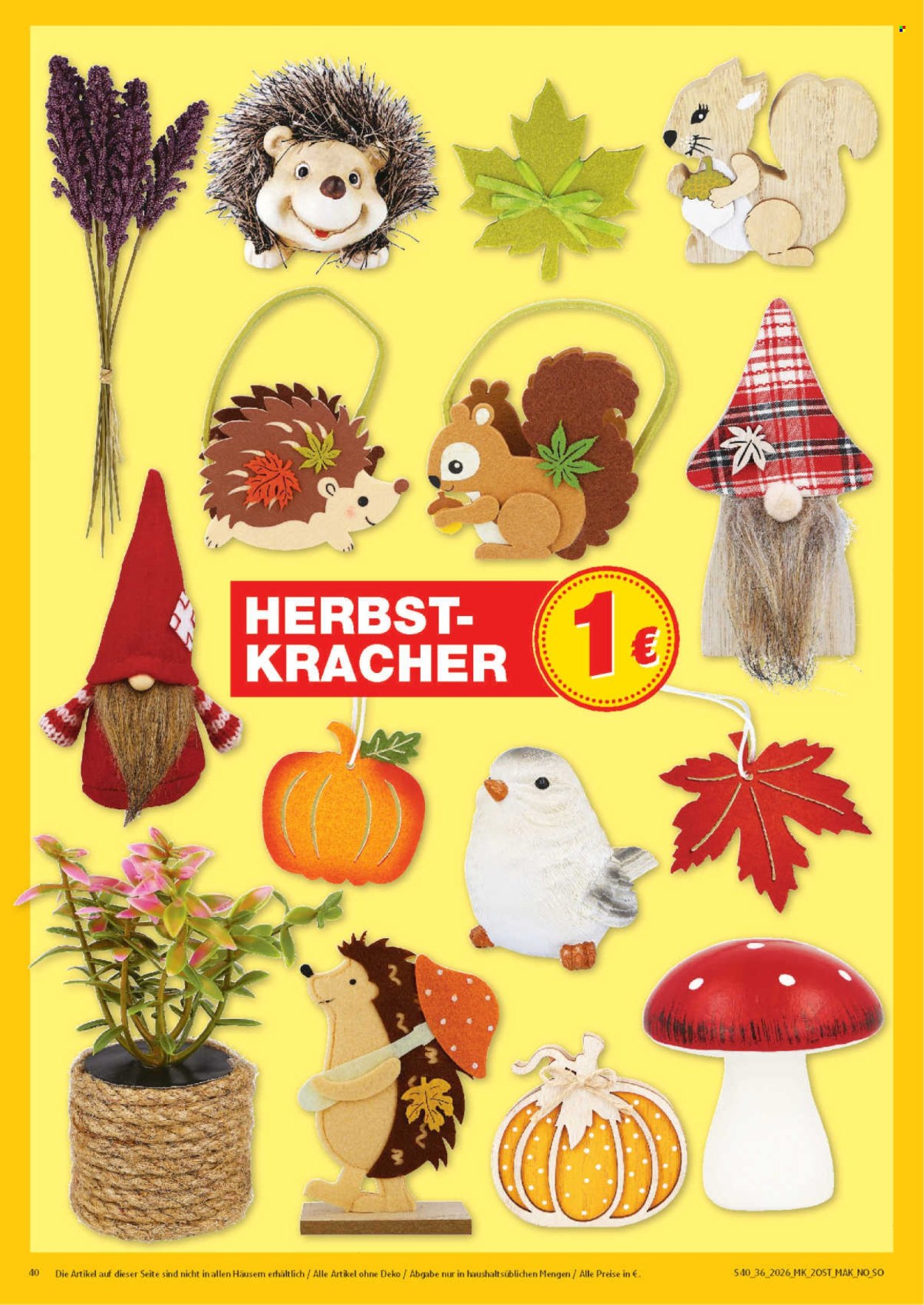 Marktkauf Prospekte  - 31.8.2026 - 5.9.2026. Seite 40
