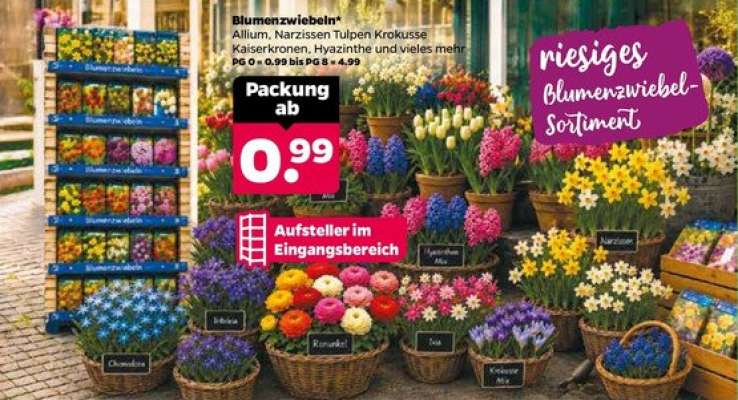 Blumenzwiebeln