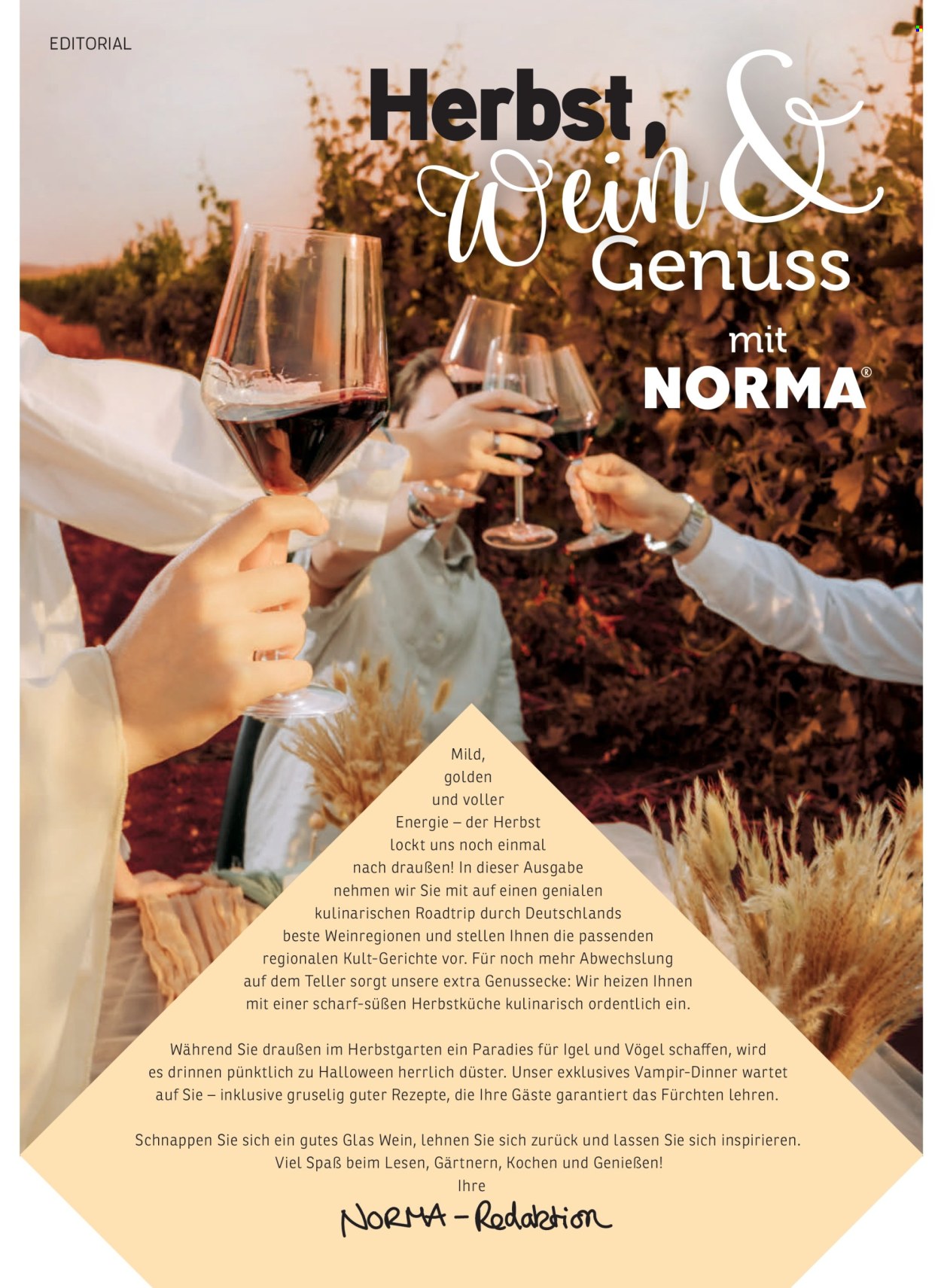 Norma Prospekte  - 1.9.2026 - 31.10.2026. Seite 2
