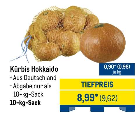 Kürbis Hokkaido