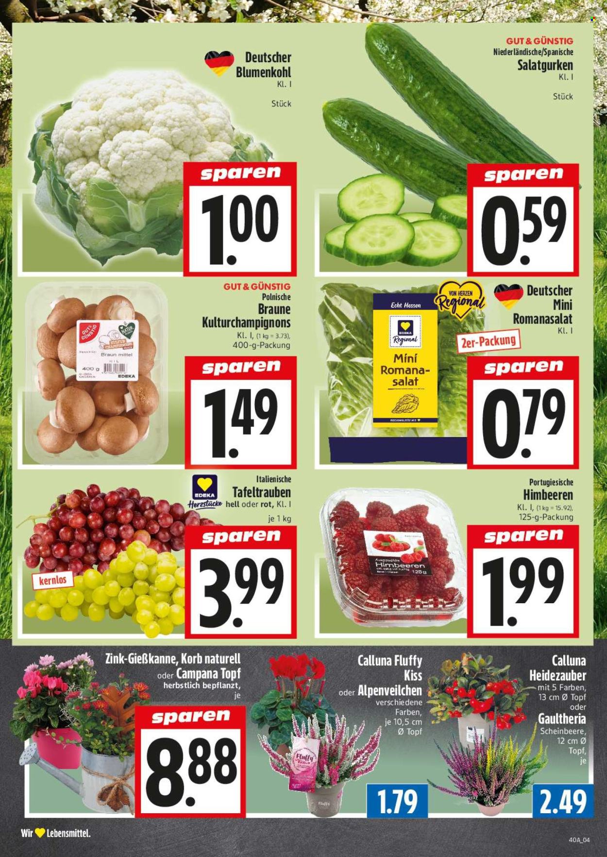 Edeka Prospekte  - 28.9.2026 - 2.10.2026. Seite 4