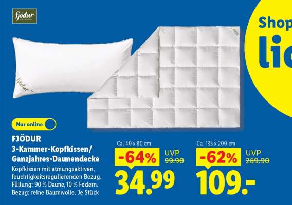 FJÖDUR 3-Kammer-Kopfkissen/Ganzjahres-Daunendecke
