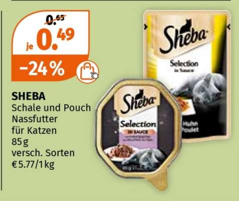 SHEBA