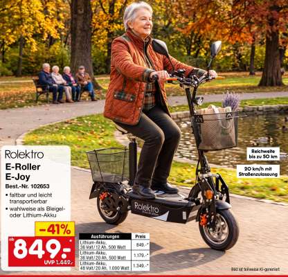 Rolektro E-Roller E-Joy