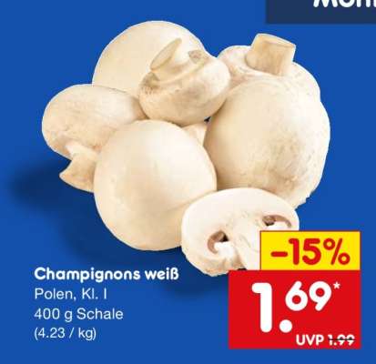 Champignons weiß