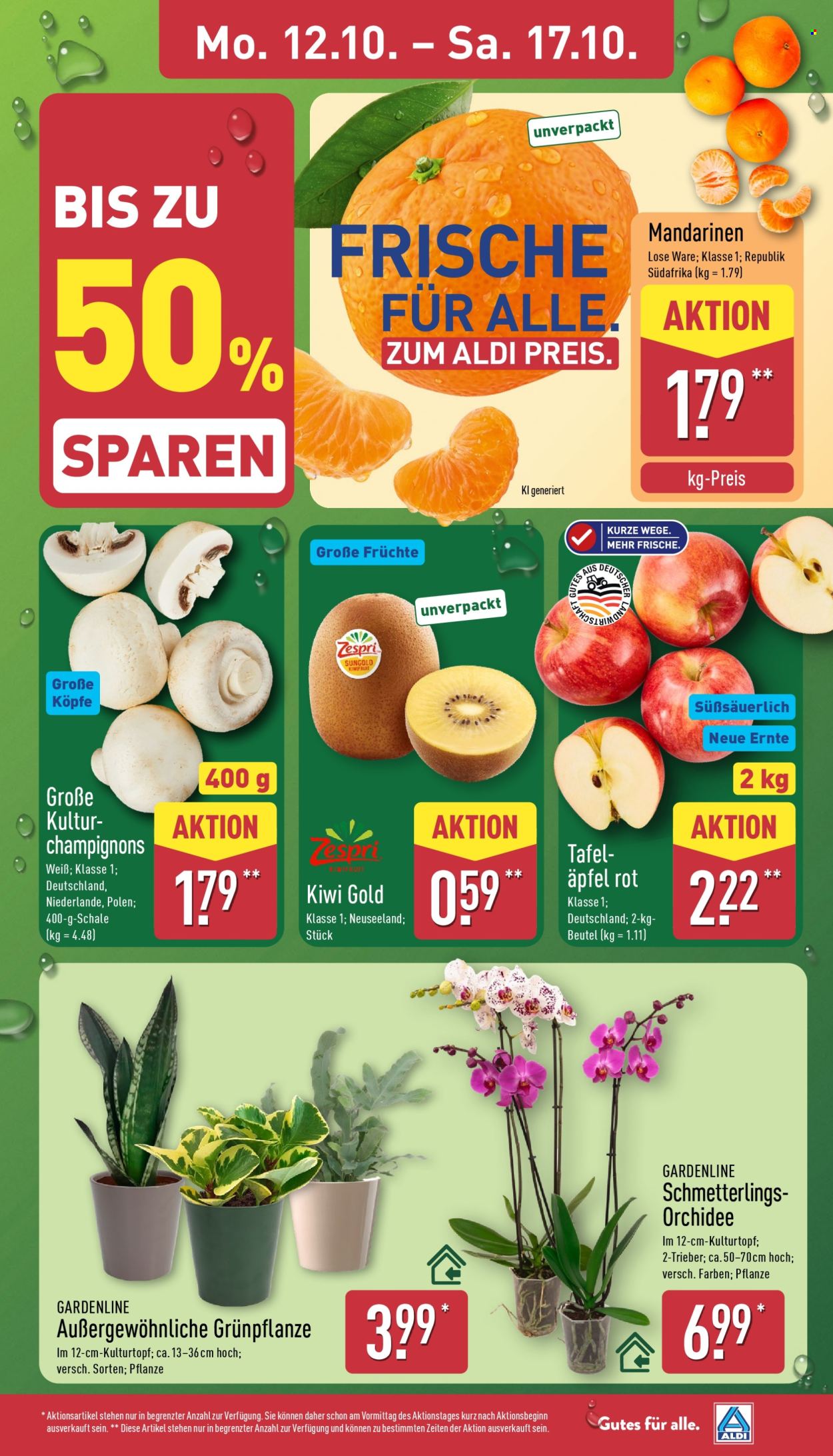 ALDI Nord Prospekte  - 12.10.2026 - 17.10.2026. Seite 3