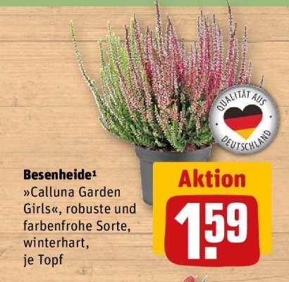 Besenheide
