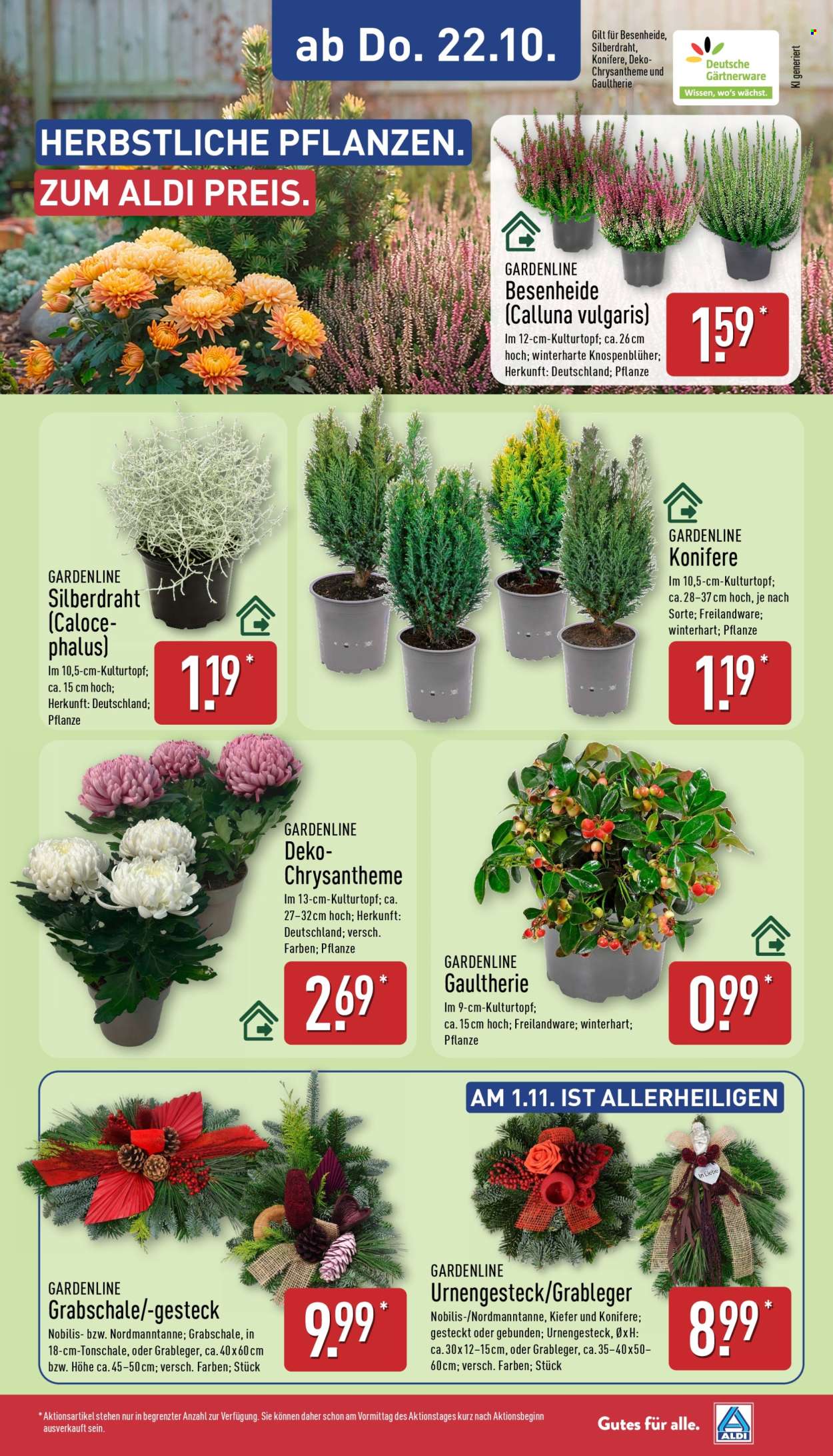 ALDI Nord Prospekte  - 19.10.2026 - 24.10.2026. Seite 29