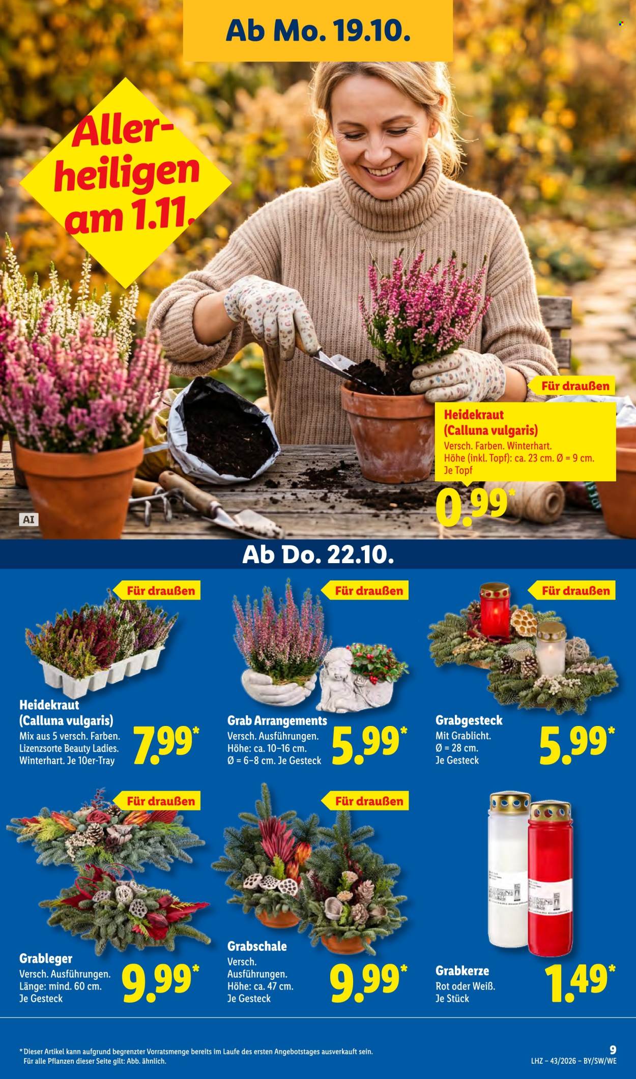 Lidl Prospekte  - 19.10.2026 - 24.10.2026. Seite 17