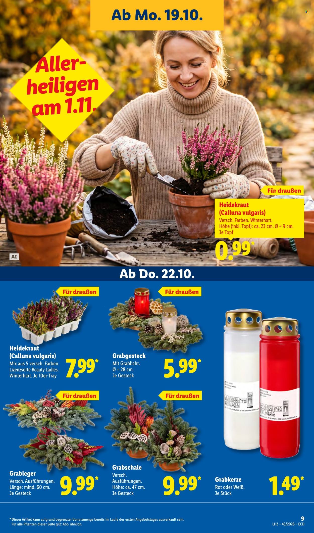 Lidl Prospekte  - 19.10.2026 - 24.10.2026. Seite 17