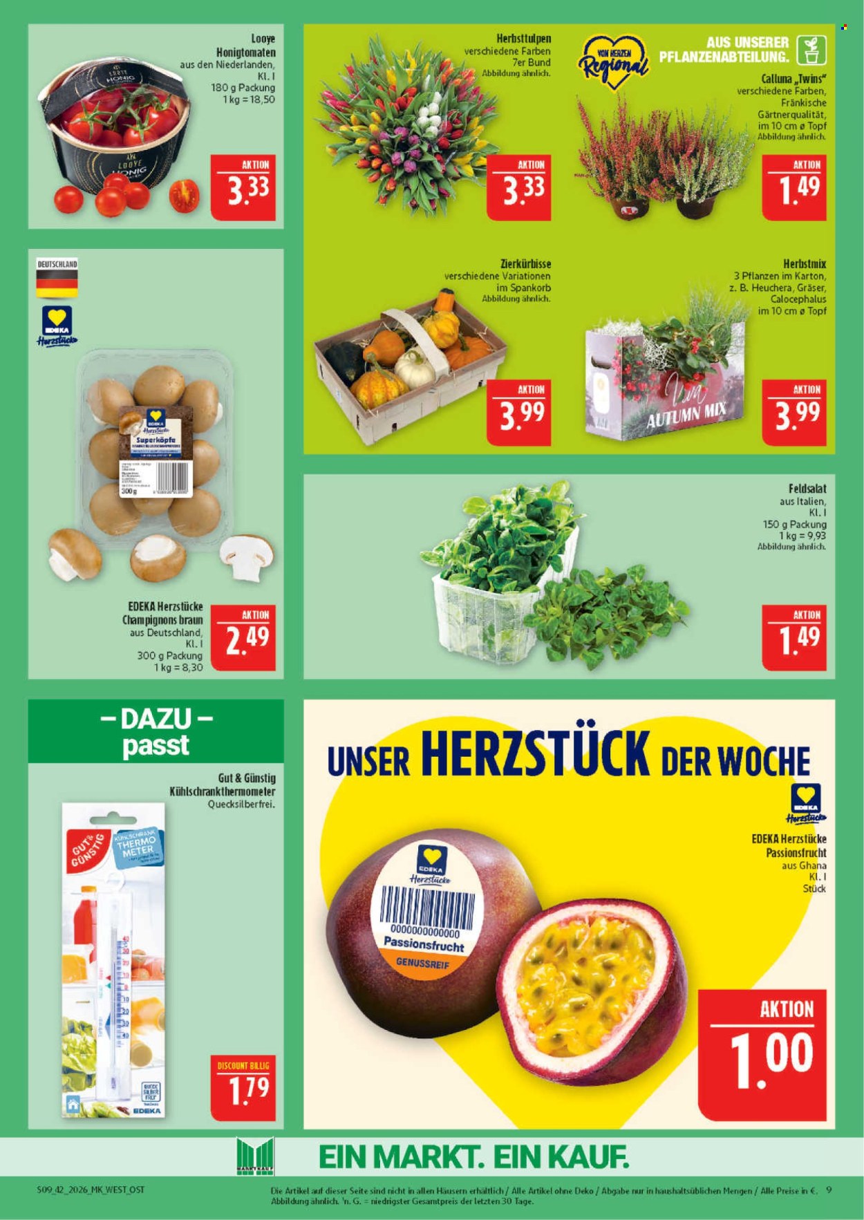 Marktkauf Prospekte  - 12.10.2026 - 17.10.2026. Seite 9