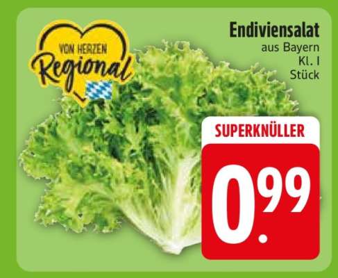 Endiviensalat