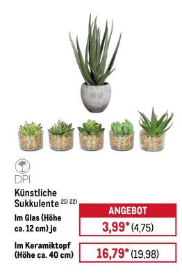 Künstliche Sukkulente