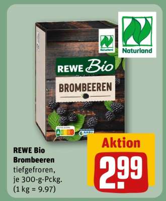 REWE Bio Brombeeren
