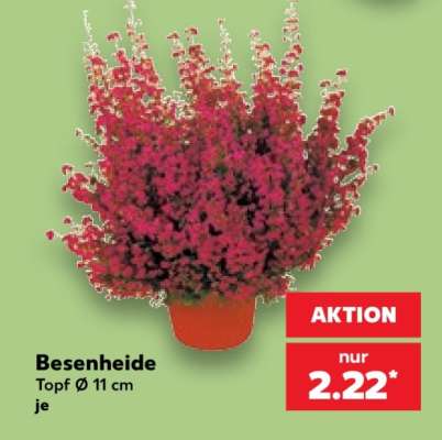 Besenheide