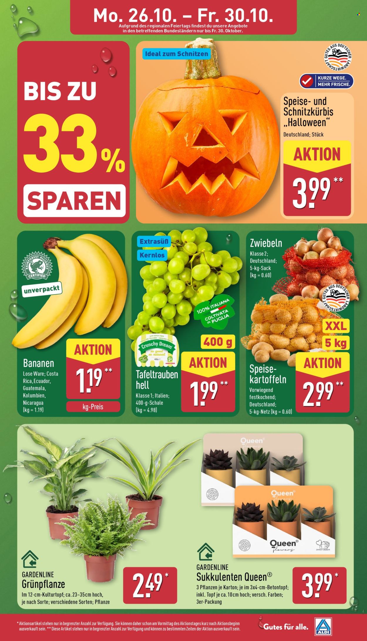 ALDI Nord Prospekte  - 26.10.2026 - 31.10.2026. Seite 3
