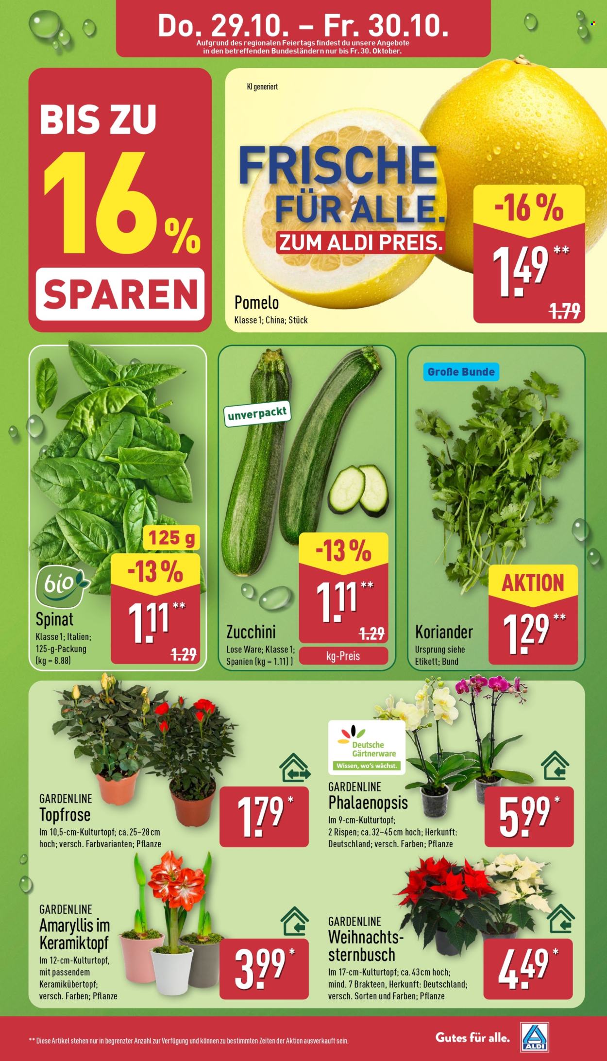 ALDI Nord Prospekte  - 26.10.2026 - 31.10.2026. Seite 32